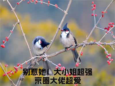别惹她！大小姐超强京圈大佬超爱后续(宋北悠段尧)（别惹她！大小姐超强京圈大佬超爱）整本畅享在线+无广告结局