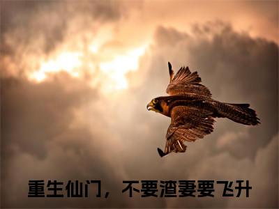 重生仙门，不要渣妻要飞升小说完本章节前文+全篇阅读（温九安陆芙蕖）连载中