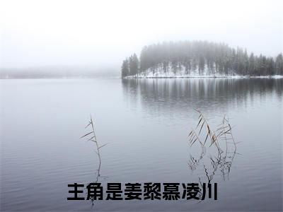 姜黎慕凌川：+后续现已上架+章节前文（姜黎慕凌川）全章无套路在线