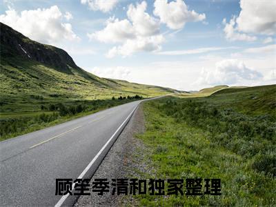 （书荒必看）顾笙季清和小说TXT无套路阅读