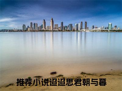 迢迢思君朝与暮小说无删减+后续（谢贺安楚慈空）畅享阅读