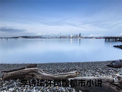 （李诗瑜许司霆）雾色中见他：结局+番外精品选集起点章节+阅读即将发布预订