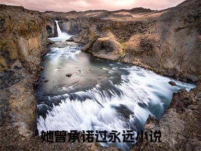 她曾承诺过永远全文（她曾承诺过永远）结局+番外看点十足_她曾承诺过永远+番外+后续在线阅读_（她曾承诺过永远）