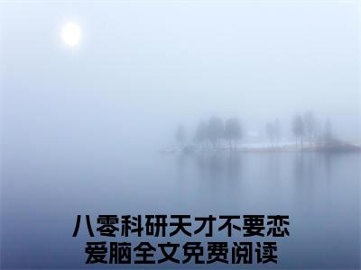 八零科研天才不要恋爱脑小说(沈时聿傅清苒)+前传（八零科研天才不要恋爱脑）阅读