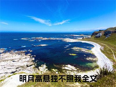 夏晚意陆祁安结局+番外（明月高悬独不照我）全文免费阅读无弹窗大结局_夏晚意陆祁安结局+番外完整版最新全章节