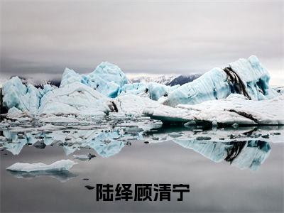 (番外)+(全文)于星河璀璨中分离：全文+后续（陆绎顾清宁）全文免费阅读无弹窗大结局_（陆绎顾清宁全文+后续免费阅读全文大结局）最新章节列表