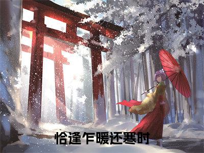 恰逢乍暖还寒时:+后续+全文（钟晚依沈知序）全书在线下载阅读完美终章小说大结局