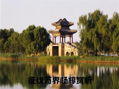 征伐万界杨椁小说章节目录+章节前文（征伐万界杨椁）TXT清爽版在线