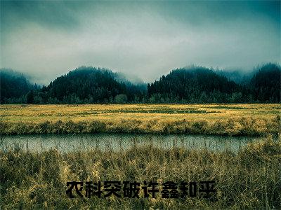 农科突破许鑫小说全文免费阅读（农科突破许鑫）+后续全本完整_(农科突破许鑫)农科突破许鑫+后续+结局在线阅读+后续+结局在线阅读