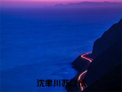 我的爱给谁都热烈（沈聿川苏以情）全文免费阅读无弹窗大结局_沈聿川苏以情全文免费阅读_笔趣阁（我的爱给谁都热烈）