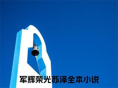 （书荒必看）军辉荣光苏泽小说TXT无套路阅读