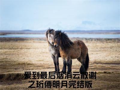 爱到最后烟消云散附加完整在线阅读（谢之珩傅明月）最近更新列表