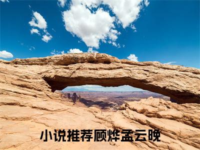 顾烨孟云晚免费阅读（顾烨孟云晚）全文免费阅读无弹窗大结局_顾烨孟云晚免费阅读最新章节列表_笔趣阁（顾烨孟云晚）