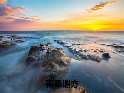 雁字回时情未休秦桑谢亦附加完整在线阅读（秦桑谢亦）最近更新列表