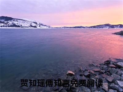 贺知瑶傅知言全文全文免费阅读_过往情深不必提全文最新章节列表笔趣阁（贺知瑶傅知言）