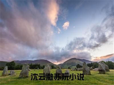 沈云澈苏阮：结局+番外新上热文 新章速递风没来过，我没爱过：结局+番外评价五颗星