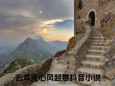 林妍傅璟云本无心风起意续集(林妍傅璟)终极反转（云本无心风起意）全篇一口气阅读