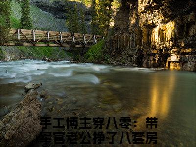 高分_手工博主穿八零：带军官老公挣了八套房(江柠陆少谦)（手工博主穿八零：带军官老公挣了八套房）全本完整阅读