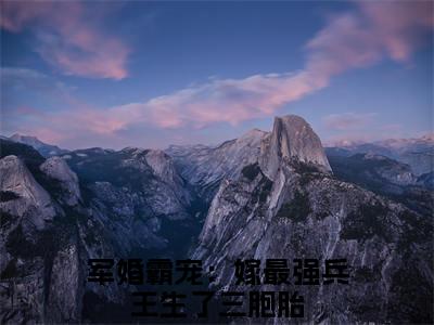 （叶穗穗陆正尧）军婚霸宠：嫁最强兵王生了三胞胎叶穗穗陆正尧无删减小说在线无广告高口碑小说