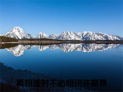 （再相逢时不必相识许宴景）再相逢时不必相识许宴景(再相逢时不必相识许宴景)无套路无弹窗全部章节列表