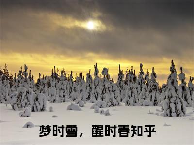 薛韶雪苏宣小说完本章节前文+全篇阅读（梦时雪，醒时春）连载中