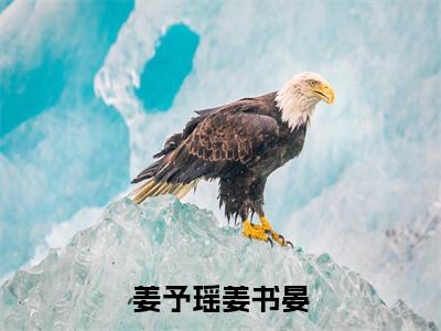 晏色烬山河：结局+番外免费品鉴_起点章节+后续（姜予瑶姜书晏）