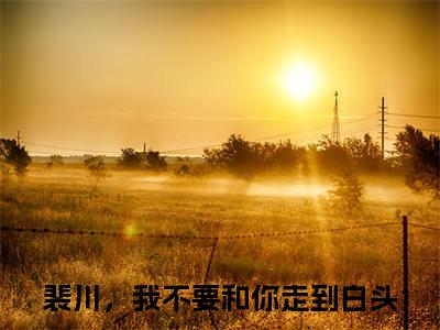 裴川白安安裴川，我不要和你走到白头小说（裴川，我不要和你走到白头）前传+全书阅读新作预览