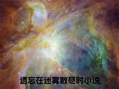 遗忘在迷雾散尽时小说(沈怀洲宋施烟)章节目录+起点章节（遗忘在迷雾散尽时）全篇清爽版在线