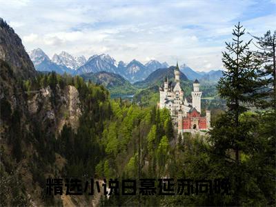 白慕延苏向晚全篇完整在线阅读（把他归还于晚风）热门章节列表