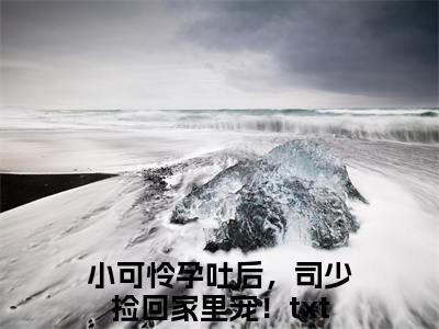 司云霆韩晴晴小可怜孕吐后，司少捡回家里宠！：全文+后续（司云霆韩晴晴）全文免费阅读无弹窗大结局_(司云霆韩晴晴小可怜孕吐后，司少捡回家里宠！：全文+后续后续大结局)司云霆韩晴晴最新章节列表_笔趣阁（司云霆韩晴晴小可怜孕吐后，司少捡回家里宠！：全文+后续）