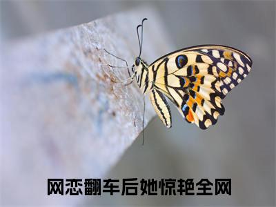 终章小说苏知晚司锦年完结篇(网恋翻车后她惊艳全网)已更新+延伸（苏知晚司锦年）清爽版