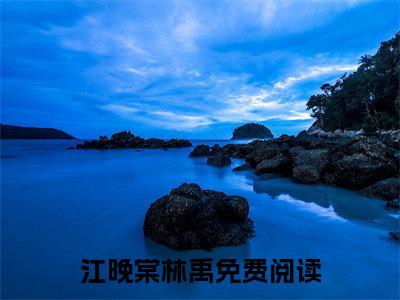 庭前海棠几渡春小说完本(庭前海棠几渡春)（江晚棠林禹）前传+整本阅读全新作品预订