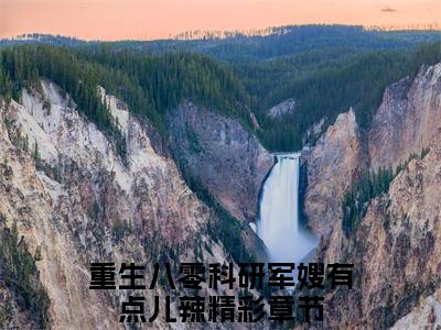重生八零科研军嫂有点儿辣:全文+番外+章节前文（苏静和孟亭源）TXT清爽版在线