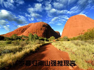 阮岁暮郭思远结局+番外（岁暮归南山）全文免费阅读无弹窗大结局_阮岁暮郭思远结局+番外完整版最新全章节