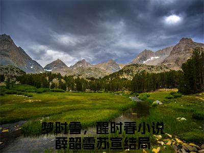 热门章节_梦时雪，醒时春：结局+番外精编之作 薛韶雪苏宣：结局+番外评价五颗星