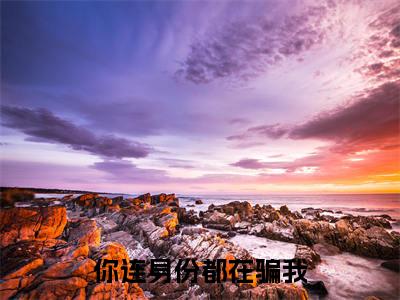 宋思远阮听雪小说完整在线阅读（你连身份都在骗我）前传列表