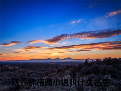 沈樑锦褚渊小说(褚少，夫人又闹离婚了)外篇+结局（沈樑锦褚渊）全篇在线阅读