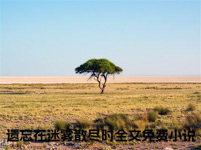 遗忘在迷雾散尽时小说(宋施烟沈怀洲)（遗忘在迷雾散尽时）完整章节列表_笔趣阁