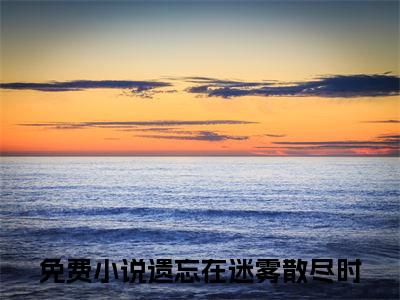 遗忘在迷雾散尽时小说（宋施烟沈怀洲）结局+番外免费品鉴_遗忘在迷雾散尽时小说免费阅读+后续评价五颗星（宋施烟沈怀洲）