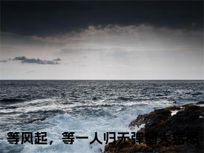 （头条）谢澜州林见疏(等风起，等一人归)整本免费版阅读无广告（谢澜州林见疏）