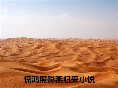小说惊鸿照影燕归来江辞尘奚言(惊鸿照影燕归来)已更新+无删减（江辞尘奚言）