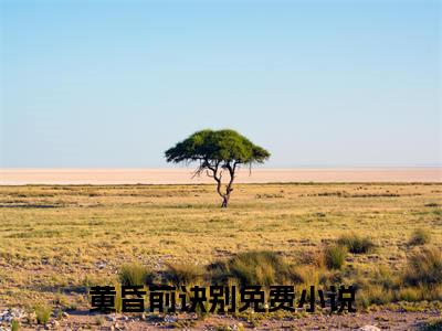 祝睦辰沈妍菱结局+番外（黄昏前诀别）全文免费阅读全集完整版_祝睦辰沈妍菱结局+番外最新章节无弹窗（黄昏前诀别）