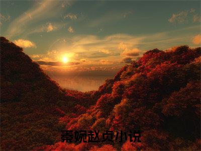 打铁娘在后宫乱杀，儿子负责嘎嘎秦婉赵贞后续（秦婉赵贞）全篇在线阅读前传