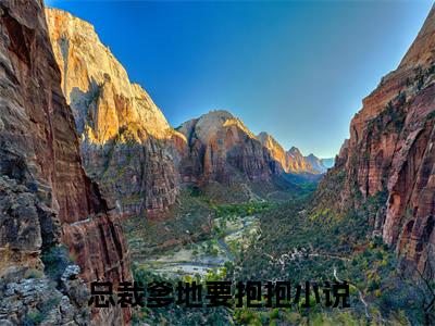 苏暮烟叶木泽（总裁爹地要抱抱/苏暮烟叶木泽：结局+番外）全文免费阅读无弹窗大结局_(总裁爹地要抱抱)最新章节列表_笔趣阁（苏暮烟叶木泽/总裁爹地要抱抱：结局+番外）