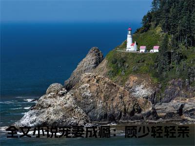 宠妻成瘾：顾少轻轻亲全本资源（顾北漠慕小乔）全文免费阅读无弹窗大结局_顾北漠慕小乔最新章节列表（宠妻成瘾：顾少轻轻亲）