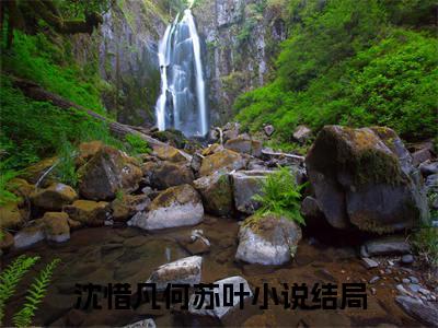 沈惜凡何苏叶(爱你是我做过最好的事)（沈惜凡何苏叶）在线畅读+开篇大作+前传