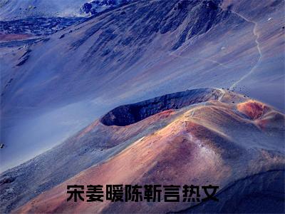 宋姜暖陈靳言（宋姜暖陈靳言）全文免费阅读大结局-宋姜暖陈靳言小说全文免费阅读最新章节列表
