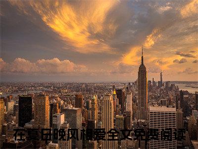 在夏日晚风相爱小说（顾寻宋嘉禾）前文+全本完整阅读预售作品抢先看