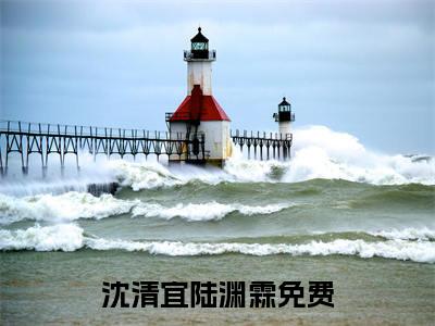 沈清宜陆渊霖小说完结篇(沈清宜陆渊霖)（沈清宜陆渊霖）全书无套路阅读无广告小说大结局