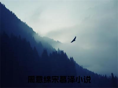 周意绵宋慕泽小说叫什么(周意绵宋慕泽)小说全集阅读无广告（周意绵宋慕泽）番外+续集